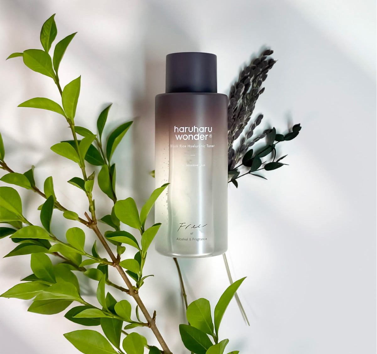 Refreshing, fast-absorbing texture of Haruharu Black Rice Hyaluronic Toner β Non-sticky, deep-penetrating watery toner for all skin types at Atelier De Glow UAE.