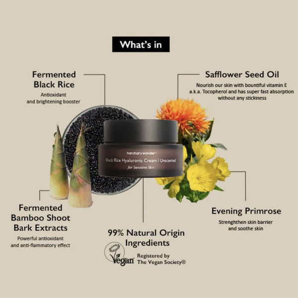 Soft, fast-absorbing texture of Haruharu Black Rice Unscented Cream – Lightweight, non-greasy vegan moisturizer with a satin finish at Atelier De Glow UAE.