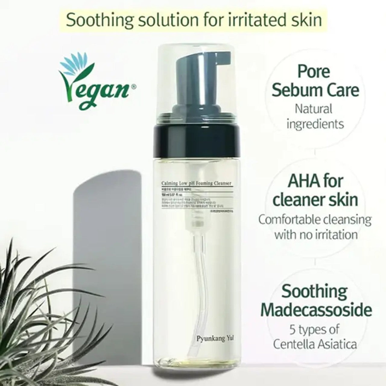 Pyunkang Yul Calming Low pH Foaming Cleanser | Atelier De Glow UAE